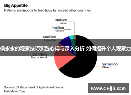 侯永永的观察技巧实践心得与深入分析 如何提升个人观察力