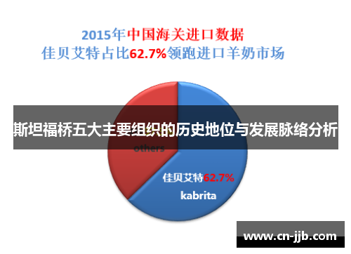 斯坦福桥五大主要组织的历史地位与发展脉络分析