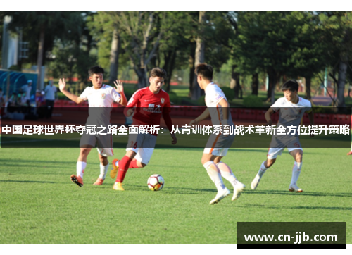 中国足球世界杯夺冠之路全面解析：从青训体系到战术革新全方位提升策略